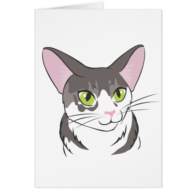 Gris y gato blanco (Frente)