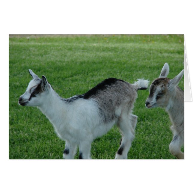 Gris y rojo (Anverso (Horizontal))