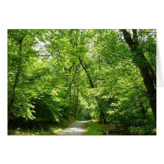 Grist Mill Trail I (Anverso (Horizontal))