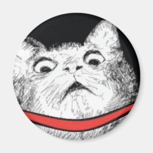 Grito de asombro sorprendido Meme - imán del gato