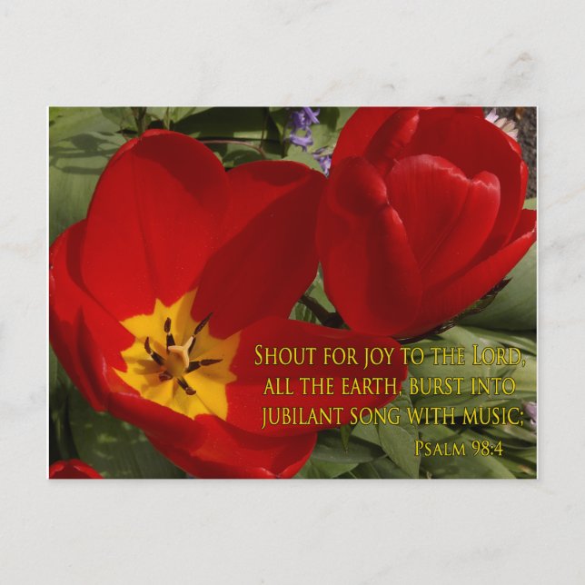 grito de tulipanes rojos - postal psalm 98:4 (Anverso)