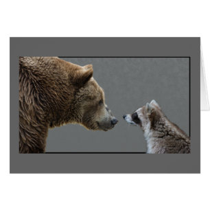 Grizzle Bear Meets Raccoon
