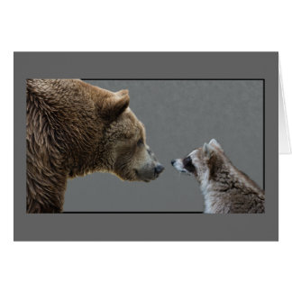 Grizzle Bear Meets Raccoon