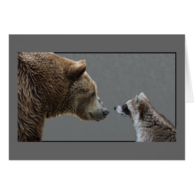 Grizzle Bear Meets Raccoon (Anverso (Horizontal))