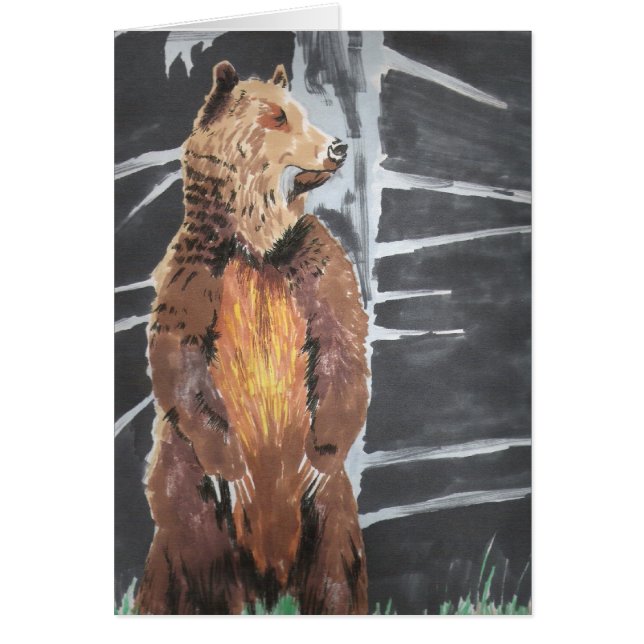 Grizzly Bear (Frente)