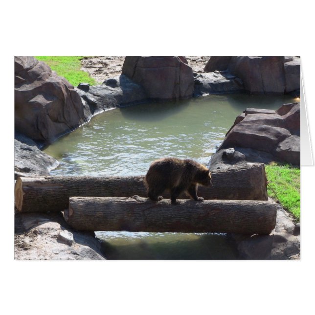 Grizzly Bear (Anverso (Horizontal))