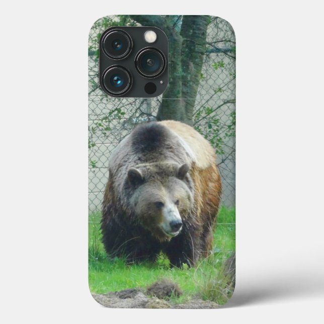 Grizzly Bear #1 iPhone 13 Pro Funda (Reverso )