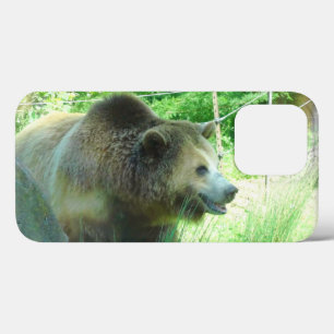 Grizzly Bear #3 iPhone 13 Pro Funda