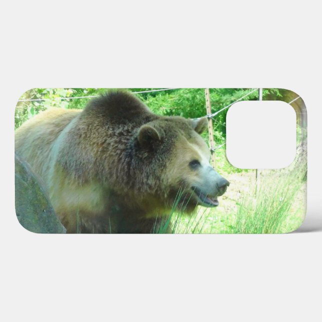 Grizzly Bear #3 iPhone 13 Pro Funda (Reverso  (Horizontal))