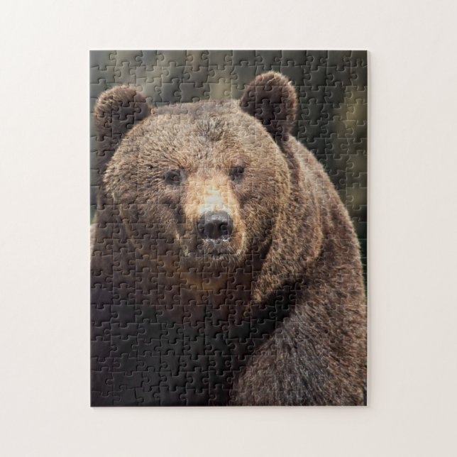 GRIZZLY BEAR JIGSAW PUZZLE (Vertical)