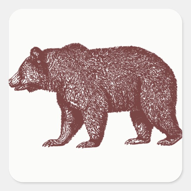 Grizzly Bear Pegatinas (Anverso)