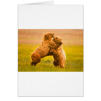 Grizzly Bears Wrestling