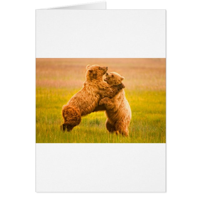 Grizzly Bears Wrestling (Frente)