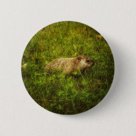 Groundhog en un botón de campo