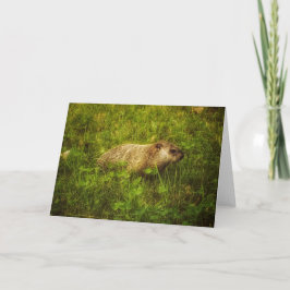Groundhog en una tarjeta de saludo de campo