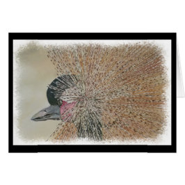 GRÚA AFRICANA MAGNÍFICA