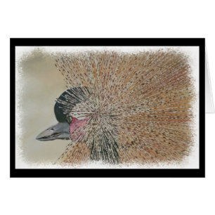 GRÚA AFRICANA MAGNÍFICA