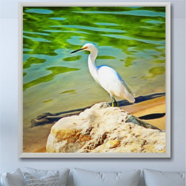 Grúa En La Impresión De Arte Del Río Mismaloya 033 (Subido por el creador)