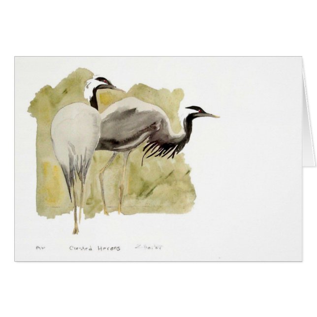 Grúas del Demoiselle (Anverso (Horizontal))