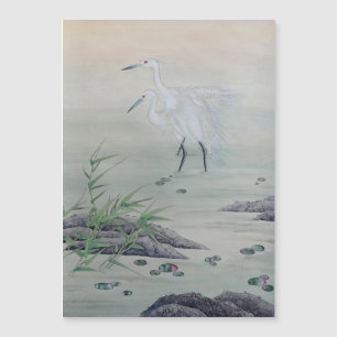 Grullas en el río chino