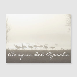 Grullas en la niebla Bosque del Apache