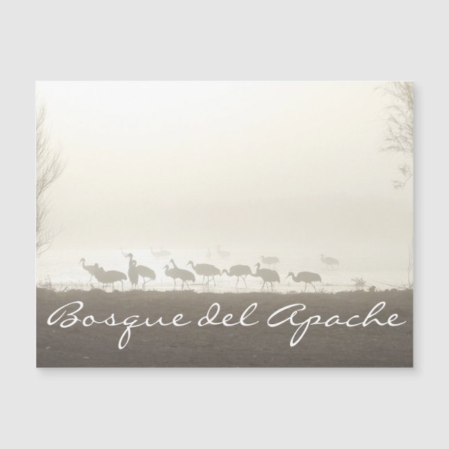 Grullas en la niebla Bosque del Apache (Anverso)