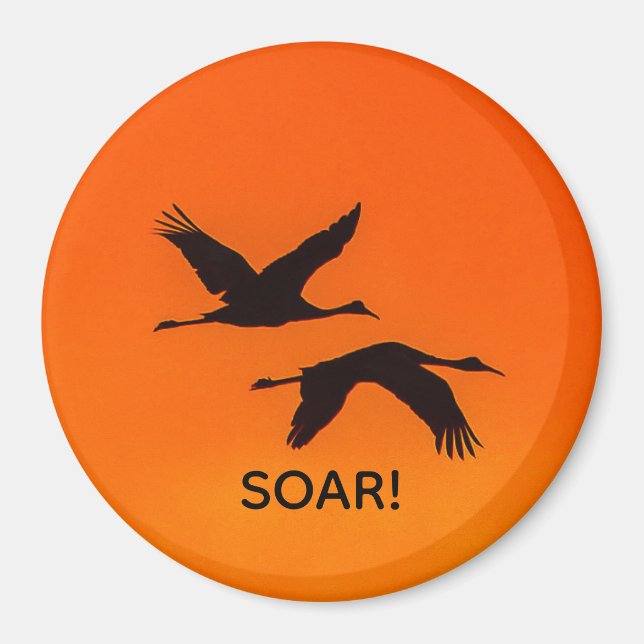 Grullas montañosas vuelan al imán de la puesta de  (Frente)