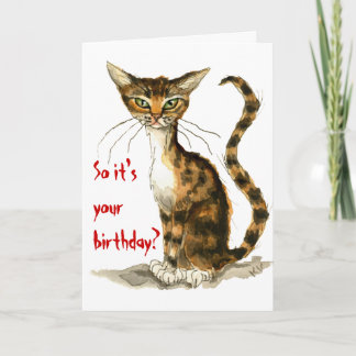 Grumpy brown tabby cat tarjeta de cumpleaños diver