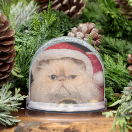 Grumpy Cat Santa Merry Christmas