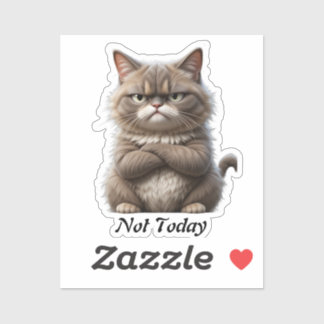 Grumpy Cat Vinyl Pegatina - "Not Today" Mood Decal