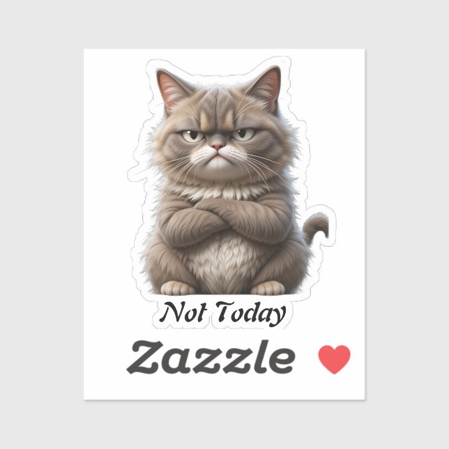Grumpy Cat Vinyl Pegatina - "Not Today" Mood Decal (Hoja)