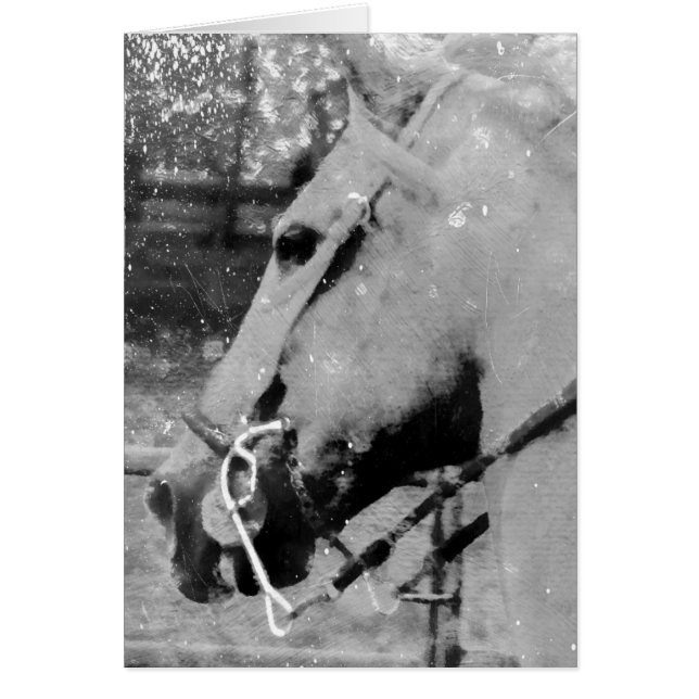 Grunge de caballo blanco y negro, cumpleaños (Frente)