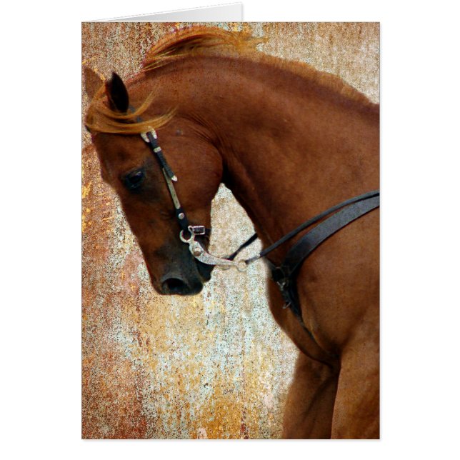 Grunge de Sorrel del Oeste (Frente)