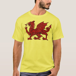 Grunge del dragón Galés - camiseta de Eco de los