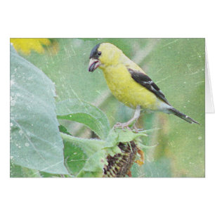 Grunge del Goldfinch