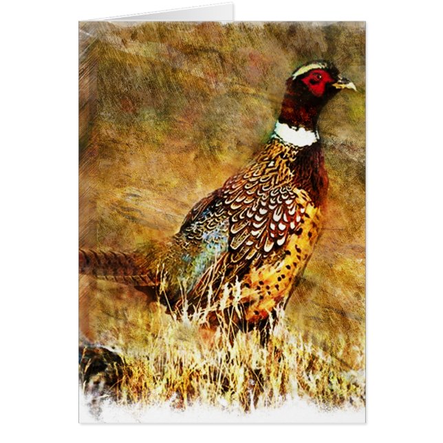 Grunge Phesant (Frente)