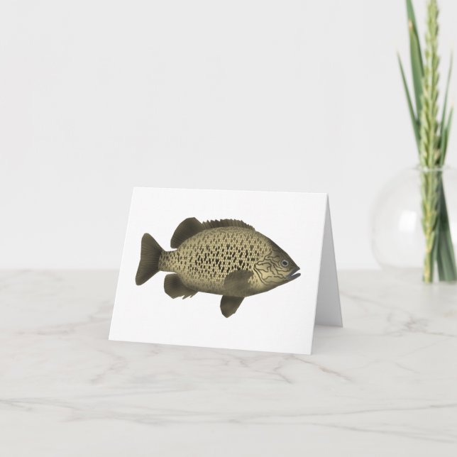 Grunter de carbón (Anverso)