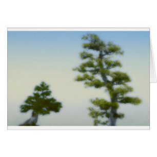 Grupo de árboles de pino de los bonsais