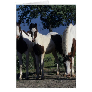 Grupo de caballos de la pintura