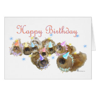 Grupo de Celebración Pekín