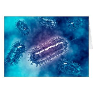 Grupo De Células Bacterianas De Escherichia Coli 1