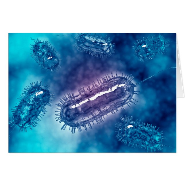 Grupo De Células Bacterianas De Escherichia Coli 1 (Anverso (Horizontal))