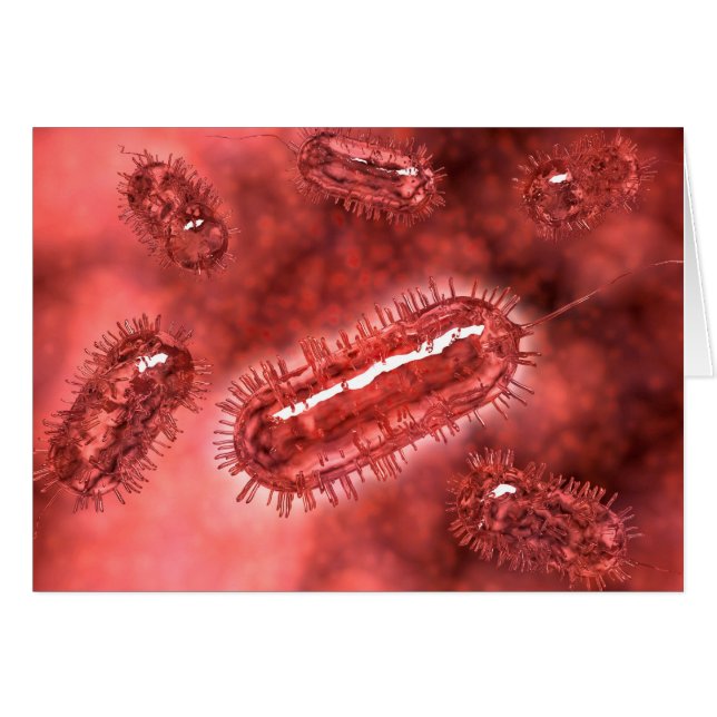 Grupo De Células Bacterianas De Escherichia Coli 2 (Anverso (Horizontal))