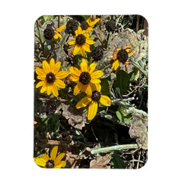 Grupo de flores amarillas imán de foto flexible