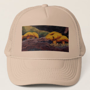 Grupo de hongos en el Gorra de los bosques profund