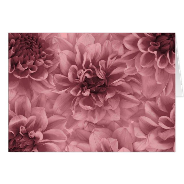 Grupo de luz Mauve Dahlias (Anverso (Horizontal))