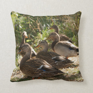 Grupo de patos, Cojín decorativo