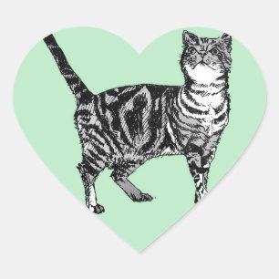 Grupo de Pegatinas de gatos tabby Mint Cute mascot