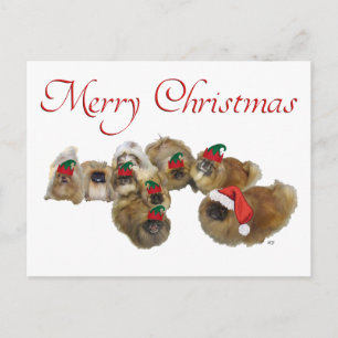 Grupo de Pekinés Celebra la Navidad