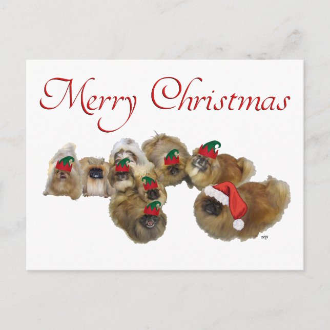 Grupo de Pekinés Celebra la Navidad (Anverso)